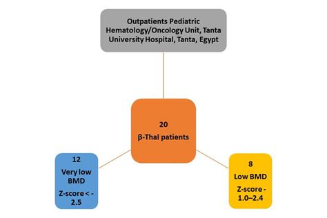 Patients Inclusion Criteria Flow Chart Download Scientific Diagram