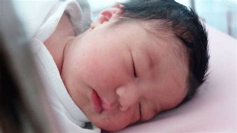 Lembar Putih Trinycta Bayi Pipi Gembilnya Nycta Gina Foto 1