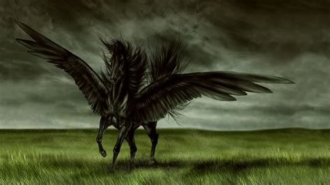 Dark Fantasy Pegasus In A Field Hd Wallpaper