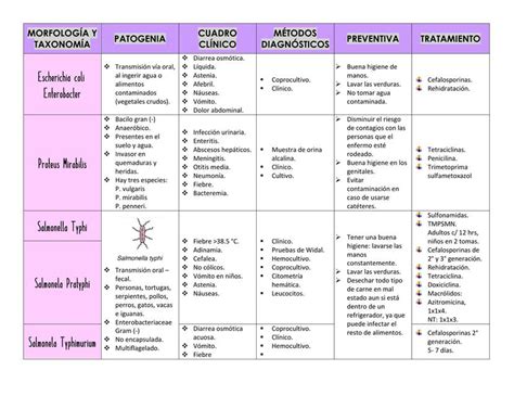 Morfología y Taxonomía de las Bacterias uDocz