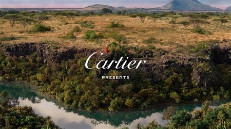 Panthère de Cartier a new film from the Maison directed by Nathalie