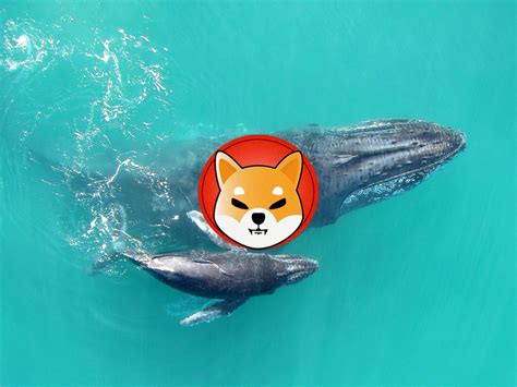 Shiba Inu New SHIB Whale Buys 3 Trillion Coins Worth 34 Million