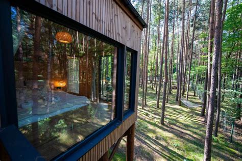 Tree Houses Olszanka Domki Na Drzewach W Sercu Lasu Tylko Dla Doros Ych