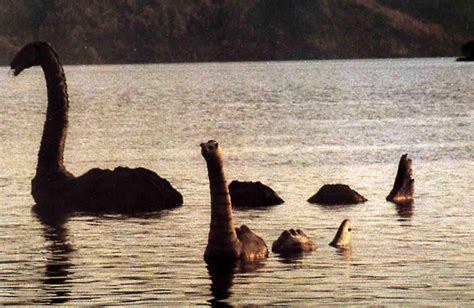 El Monstruo Del Lago Ness Podr A Ser En Realidad Un Pene De Ballena