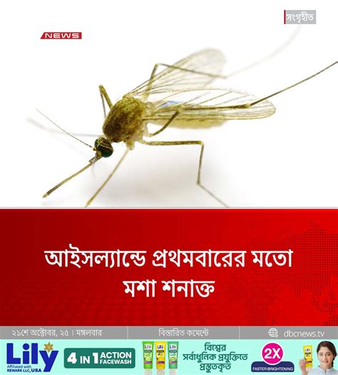dbcnewstv facebook