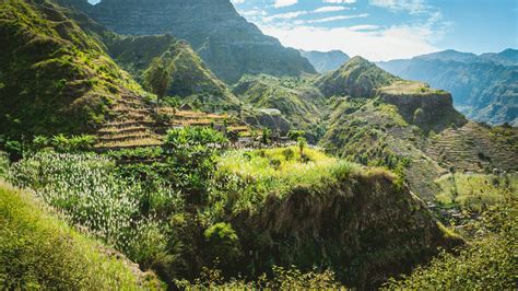 In de media - Voja Travel Madeira