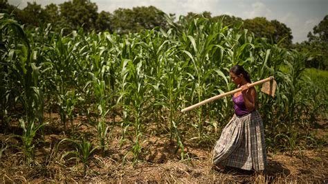 América Latina Tiene La Mayor Desigualdad Del Mundo En Distribución De