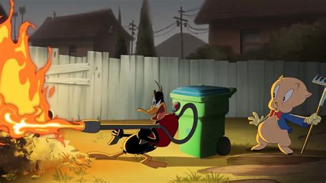 Looney Tunes Novo Filme Ganha Novo Teaser Oficial