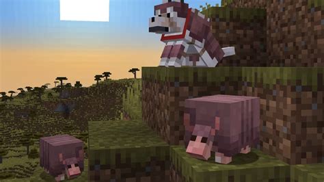 Minecraft Armadillos Everything You Need To Know About These Friendly