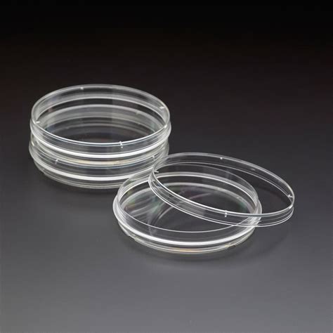 China High Quality Disposable Sterile 70mm Petri Dish Container