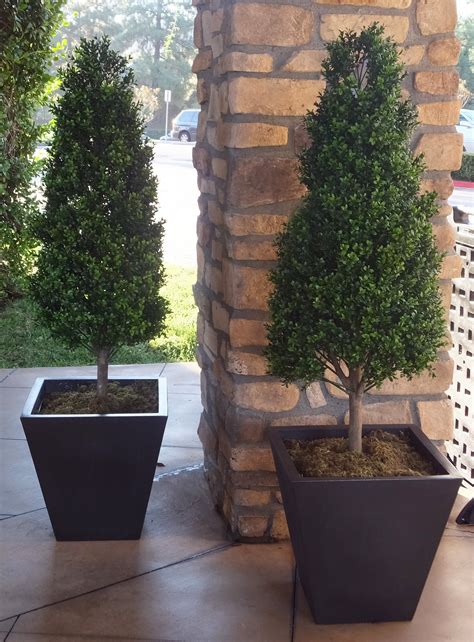 Elegant Artificial Topiaries The Perfect Holiday Purchase To Enjoy All