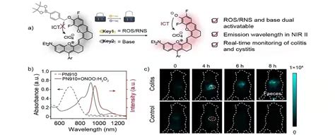 Ros Rns And Base Dual Activatable Merocyanine Based Nir Ii Fluorescent