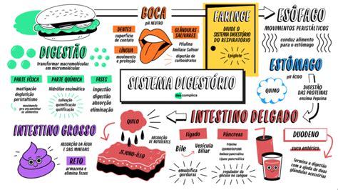 Exemplos De Mapa Conceitual Do Sistema Digestorio Rede Images