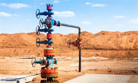 completion work      silver fox