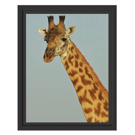 East Urban Home Gerahmtes Wandbild majestätische Giraffe Wayfair de