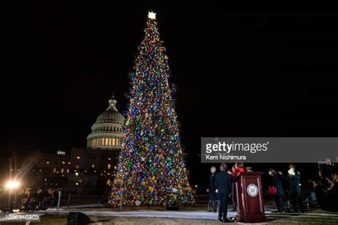 Us Capitol Christmas Tree Photos And Premium High Res Pictures Getty