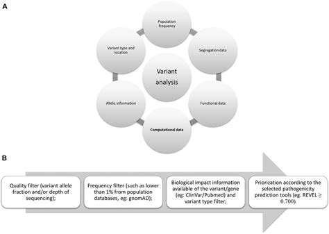 Frontiers Insights On Variant Analysis In Silico Tools For