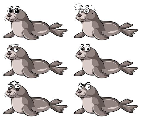 Seal with different emotions 413205 Vector Art at Vecteezy