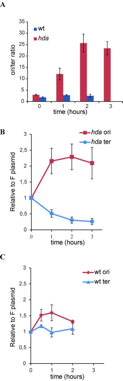 Abortive Chromosome Replication In Aerobically Grown Hda Cells The