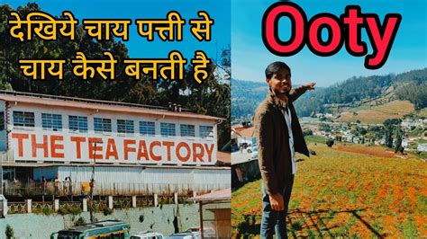 Ooty Tour Ooty Tea Chocolate Factory