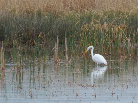 What To See Do In North Dakota Must See Nd South Dakota