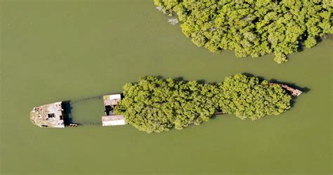 10 Abandoned Ghost Ships & The Stories Behind Them (& Where To 'See' Them)