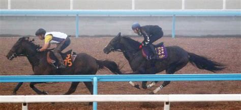 【オールカマー】タイトルホルダー、ラスト1ハロン11秒3 来週の追い切りは横山和生騎手が騎乗予定 競馬ニュース Netkeiba