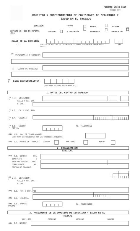 DOC Formato De Comisones Mixtas 01 DOKUMEN TIPS