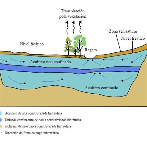 Acu Feros Fisurales Descubre C Mo Son Y Su Importancia En El Ciclo Del