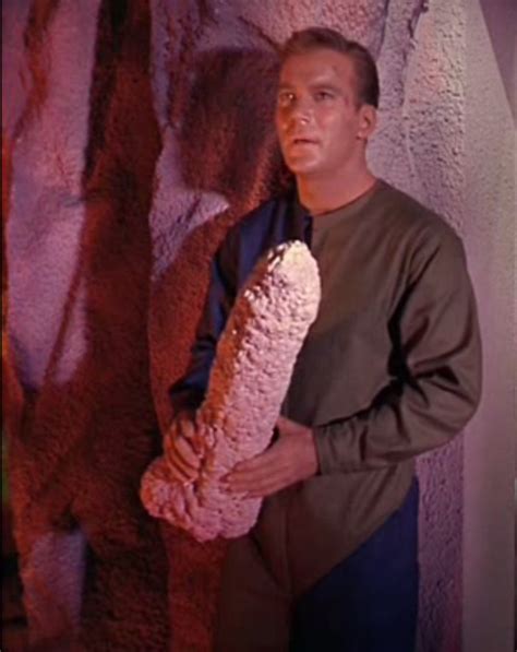 Just Captain Kirk Hold A Giant Pink Penis Imgur