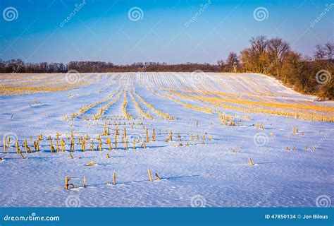 Snow Covered Farm Field In Rural York County Pennsylvania Stock Photo