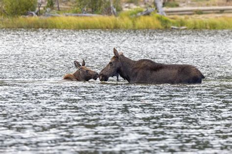 Sprague Lake - Estes Park - Uncover Colorado