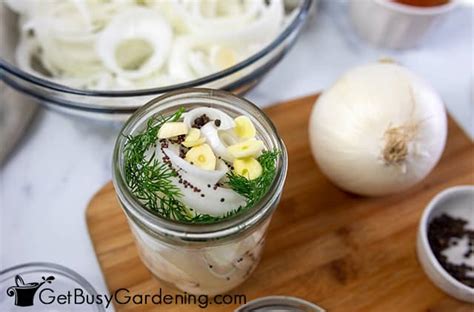 Pickled White Onions Recipe Quick Easy