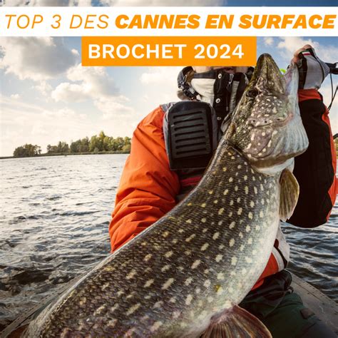 Top Des Cannes Brochet Aux Leurres De Surface En