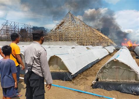 Tiga Gudang Tembakau PTPN Di Jember Ludes Terbakar Beritalima