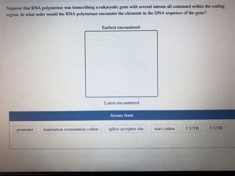 Solved Suppose That Rna Polymerase Was Transcribing A Chegg