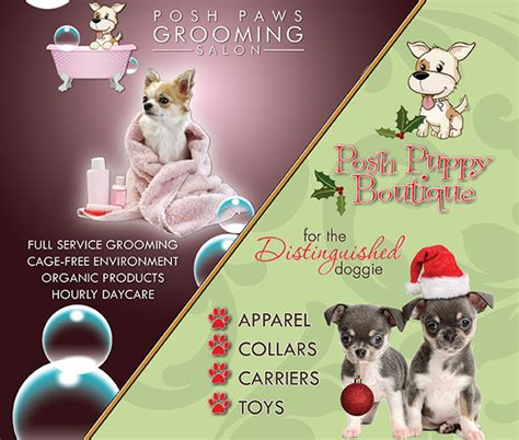 Posh Paws Grooming Salon — Posh Puppy Boutique Style Magazine