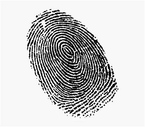 Fingerprint Transparent Image Fingerprint Png Free Transparent