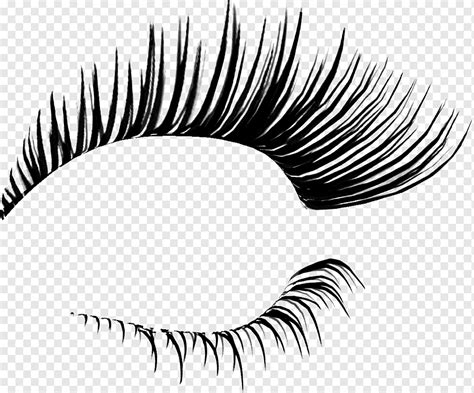 Eyelash Png