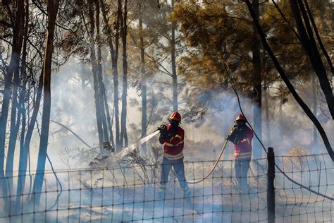 Fogo atinge casas de primeira habitação em Albergaria a Velha SIC