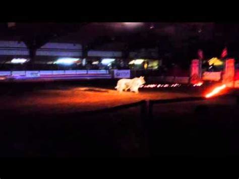 Bull Riding Last Round And Superfreak Youtube