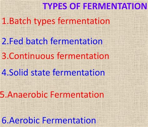 Different types of fermentation and their examples - Ox Science