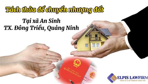 Tách Thửa để Chuyển Nhượng đất Tại Xã An Sinh Đông Triều Quảng Ninh