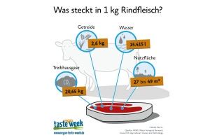 Das Steckt Hinter Einem Kilogramm Rindfleisch Albert Schweitzer Stiftung