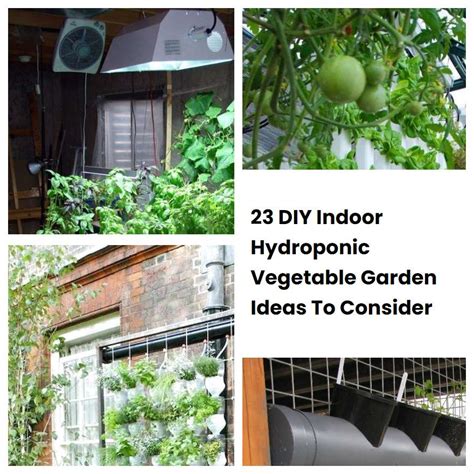 23 Diy Indoor Hydroponic Vegetable Garden Ideas To Consider Sharonsable