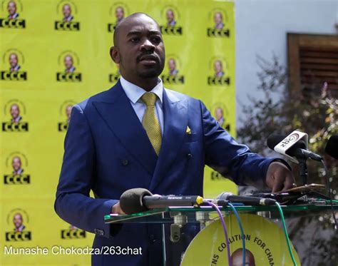 Zimbabwe S Ccc Party Led By Nelson Chamisa Claims Victory Questions Re Election Of President