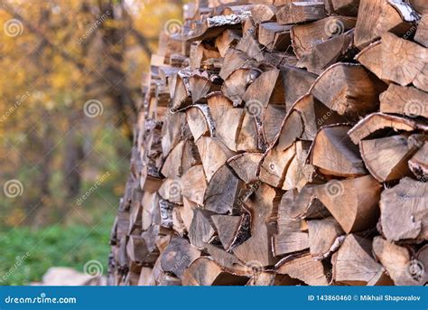 Woodpile Foto De Stock Imagem De Vidoeiro Lascado