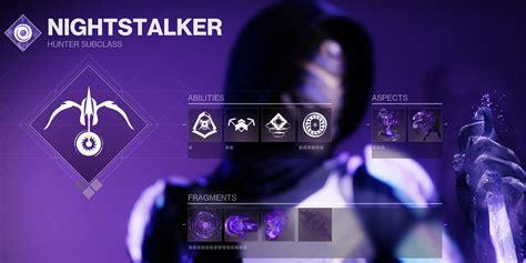 Destiny 2 Best Hunter Builds For Crucible