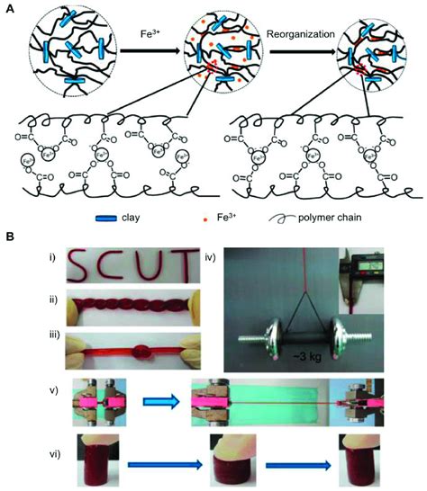 A Preparation Of Dual Physically Cross Linked Dpc Hydrogels In