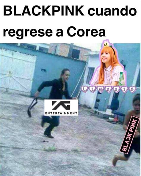 Blackpink Memes And Gay Moments Fans Blackpink Memes K Pop Memes Blackpink